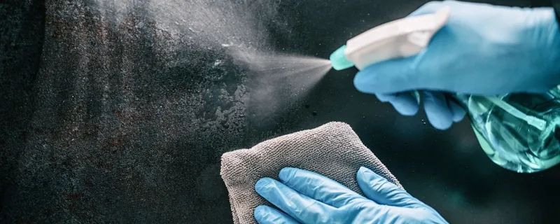 Sanitizers & Disinfectants